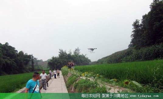 <a  data-cke-saved-href=http://www.luzhouol.cn href=http://www.luzhouol.cn target=_blank class=infotextkey>泸州</a><a  data-cke-saved-href=http://www.todayae.com href=http://www.todayae.com target=_blank class=infotextkey>农民</a>灭虫用上无人机.jpg