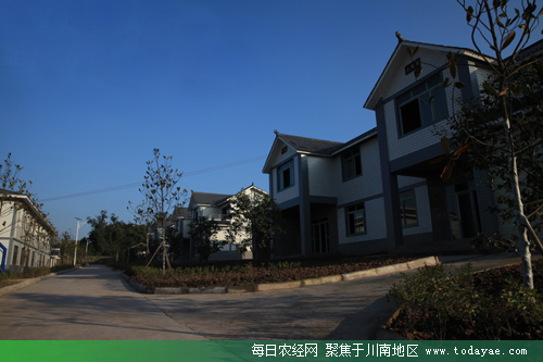 长安现代<a  data-cke-saved-href=http://www.todayae.com href=http://www.todayae.com target=_blank class=infotextkey>农业</a>示范园.jpg