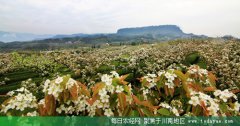 <b>宜宾：屏山着力打造生态旅游展示县</b>