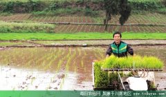<b>内江高标准基本农田建设任务过半</b>