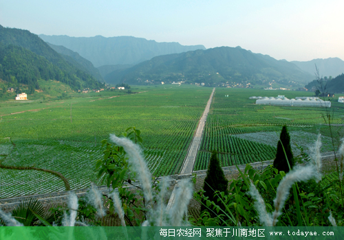 <a  data-cke-saved-href=http://www.luzhouol.cn href=http://www.luzhouol.cn target=_blank class=infotextkey>泸州</a>连片扶贫成效显著.jpg