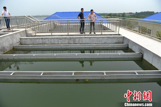 枝江市最大的农村饮用水厂胡家畈水厂 刘康 摄