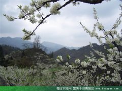 <b>泸州叙永：新村建设与扶贫攻坚紧密结合</b>