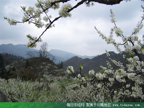 叙永海涯村.jpg