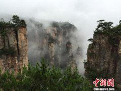 <b>张家界武陵源云海仙境“美呆”游客</b>