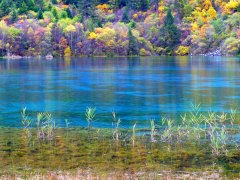 <b>前景广阔 四川旅游发展的黄金时期已来临</b>