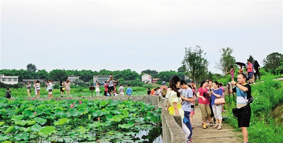 夏旅游文化节.jpg