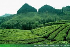 <b>实施精准扶贫 推进宜宾美丽新村建设</b>