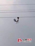 <b>湖南:游客玩高空单车遇设备断裂 从280米高处坠亡</b>
