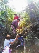 <b>河北村民进梨园哄抢7人被拘 梨园损失近20万元</b>