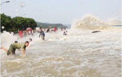 <b>男子观潮被潮水冲上马路遭碾后不幸身亡</b>