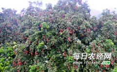 <b>泸州：合江镇走出生态农业旅游发展路</b>