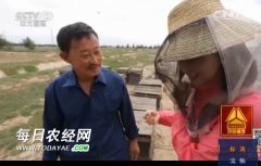 <b>《走遍中国》 乐山养蜂人谭光树又上央视</b>