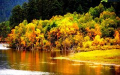 <b>香格里拉绝美秋景 光看图片就醉了</b>