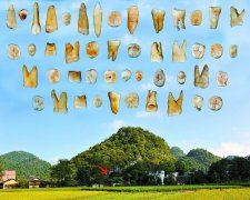 <b>我国科学家发现最早现代人化石 或挑战现代人类非洲起源说</b>
