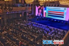 <b>第二届西部电子商务发展高峰论坛开幕</b>