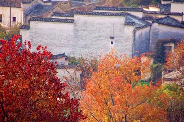 中国各省赏秋景最佳去处，趁秋天还在！