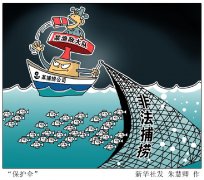<b>广东湛江东海渔政大队30余人腐败窝案:关键岗位全军覆没</b>