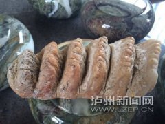 <b>泸州：古蔺现奇特动物化石 牙齿五六排</b>