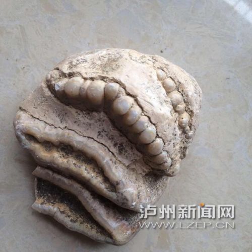 zhangrh1510244 - 副本