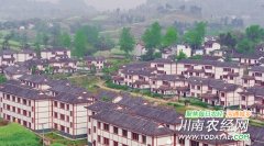 <b>建设美丽新村为抓手 资中推进重点小城镇建设</b>