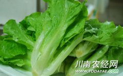 <b>五家四川企业入选全国绿色食品示范企业</b>