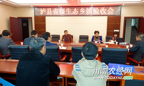 泸县省级生态<a  data-cke-saved-href=http://www.todayae.com/difang/ href=http://www.todayae.com/difang/ target=_blank class=infotextkey>乡镇</a>验收.jpg