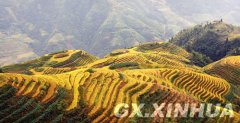 <b>11月六大“色彩”旅行地推荐</b>