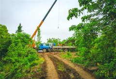 <b>上海200亩公益林遭猛砍被毁 多个部门含糊应对</b>