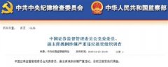 <b>证监会副主席姚刚被查 曾被称为“发审皇帝”</b>