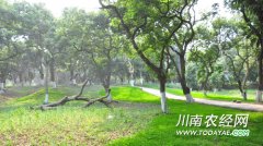 <b>泸州：6个农业园区竞争省级示范农业主题公园</b>