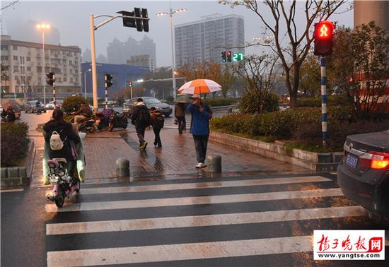 退休老人雨中撑伞劝行人不要闯红灯