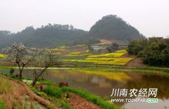 <b>四川乡村游转型升级 将四季飘香</b>