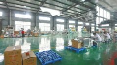 <b>宜宾：力争2020年末 电子商务交易额超千亿</b>