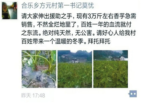 叙永香芋滞销求助微信