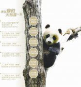 <b>有望明年获批 四川建大熊猫国家公园</b>