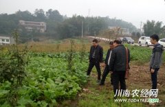 <b>泸州退耕还林民生工程获省政府督查组肯定</b>