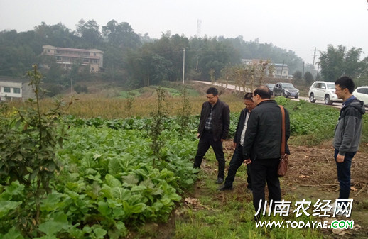 退耕还林.jpg