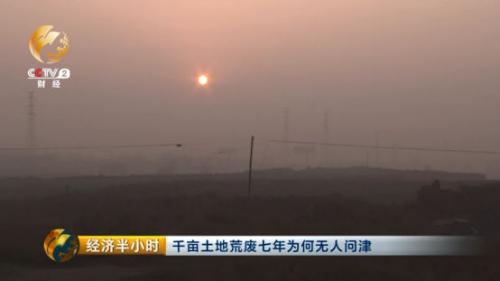 山西河津千亩耕地荒废7年 当地农民无地可种