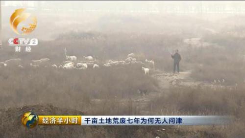 山西河津千亩耕地荒废7年 当地农民无地可种