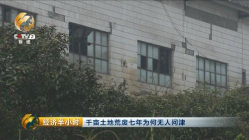 山西河津千亩耕地荒废7年 当地农民无地可种