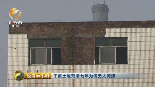 山西河津千亩耕地荒废7年 当地农民无地可种