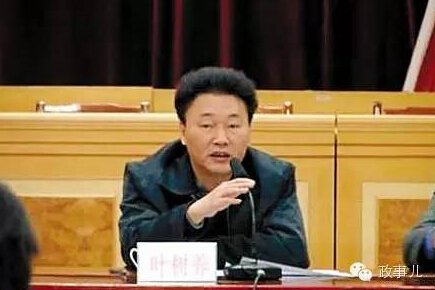 　　叶树养