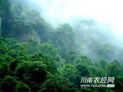 <b>泸州画稿溪与赤水四洞沟实现互通</b>