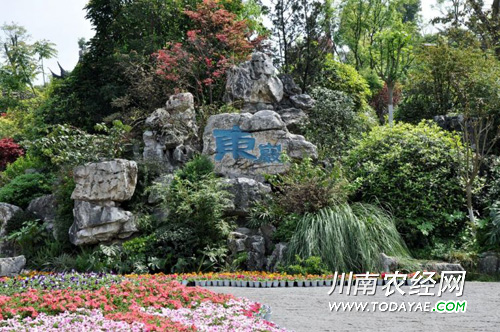 <a  data-cke-saved-href=http://www.luzhouol.com href=http://www.luzhouol.com target=_blank class=infotextkey>泸州</a>东岩公园.jpg
