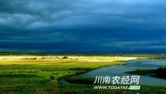 <b>加强保护与建设 四川划定21325万亩基本草原</b>