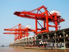 <b>四川九成进口高粱均由泸州通关</b>