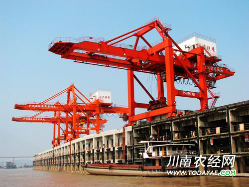 <a data-cke-saved-href=http://www.luzhouol.com href=http://www.luzhouol.com target=_blank class=infotextkey>泸州</a>港.jpg