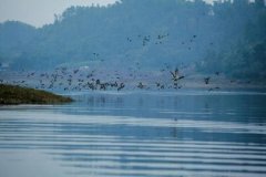 <b>统一部署 四川开展冬季水鸟资源调查</b>