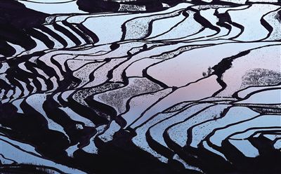 这是云南省红河州元阳县的哈尼梯田美景1月12日摄。